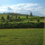Sowka